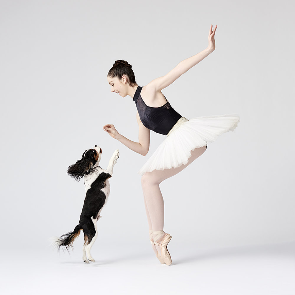 dancers and dogs 2