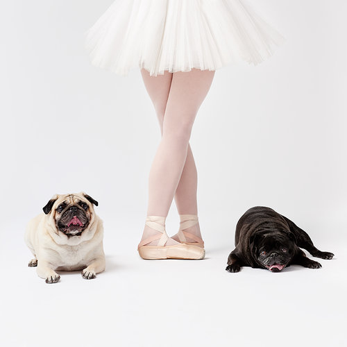 dancers and dogs 4