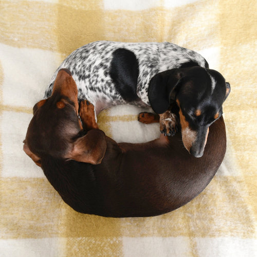 harlow and sage 6