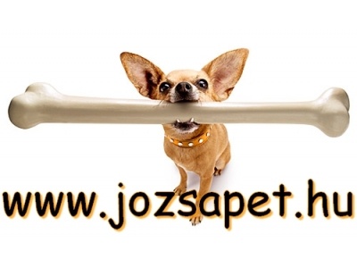jzsa1