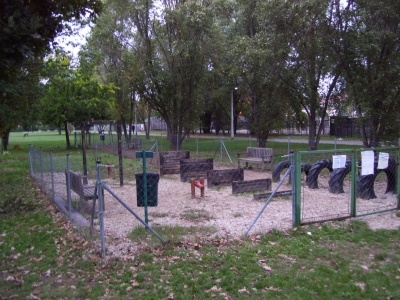 tulipn_kert